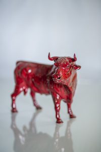 bull