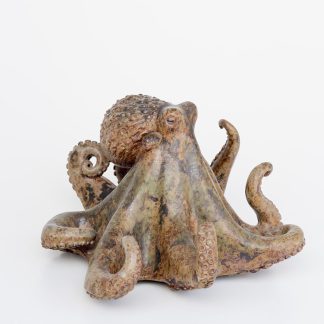 octopus